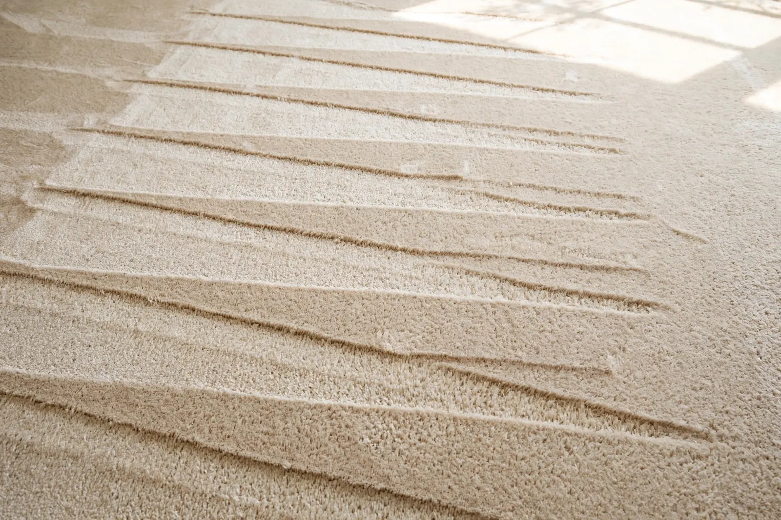 Freshly cleaned carpet with crisp vacuum lines in soft evening light